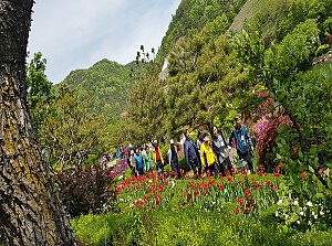 5월 지역사회문화탐방 (금산)