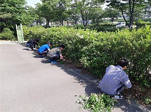 포스코화성부 5월 자원봉사활동